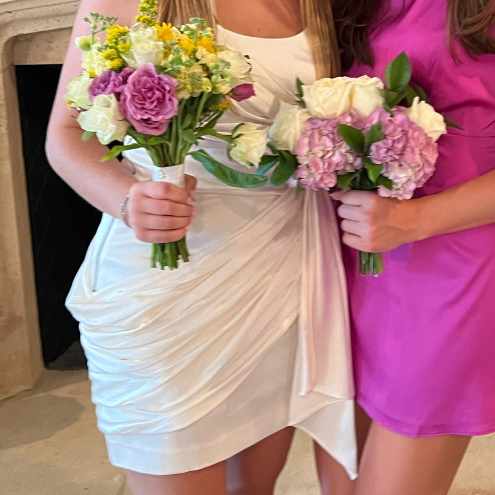 alice and olivia dress